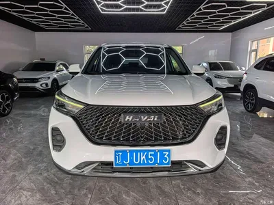 2021 Haval M6 PLUS 1.5T Manual Comfort, фото 1, лот 11138733
