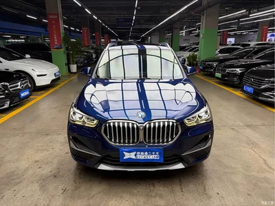 2020 BMW X1 sDrive20Li Premium Edition, фото 3, лот 10888870