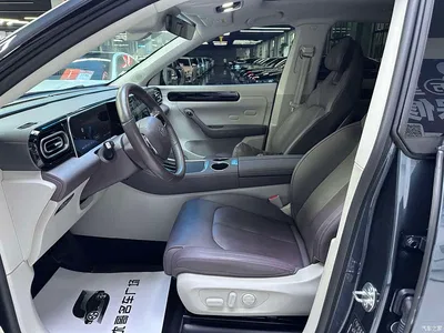 2023 Leapmotor C11 Extended Range 300 Comfort Edition, фото 4, лот 10317348