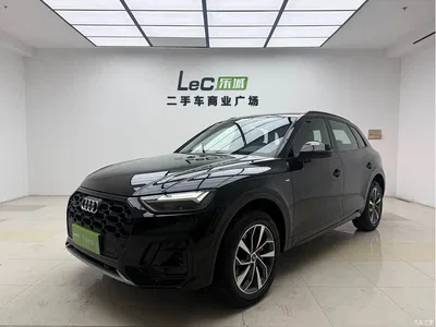 2025 Audi Q5L 40 TFSI Luxury Dynamic, фото 1, лот 10401175