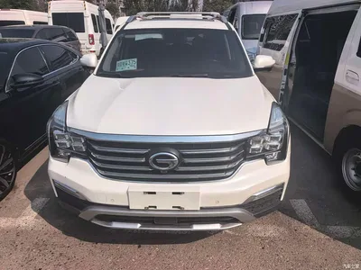 2017 GAC Trumpchi Trumpchi GS8 320T 2WD Luxury Smart Connect (7-seater), фото 2, лот 10419048