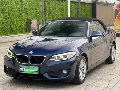 2015 BMW 2 Series (Import) 218i Convertible Coupe, фото 1, лот 11089200