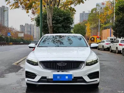 2021 Geely Xing Rui 2.0TD Luxury, фото 2, лот 10359298