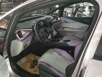 2021 BYD Dolphin Model 405km Fashion Edition, фото 4, лот 10257026
