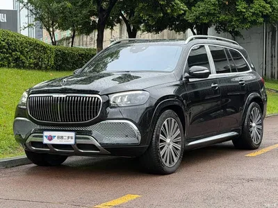 2021 Mercedes-Benz Maybach GLS GLS 480 4MATIC, фото 1, лот 10620240
