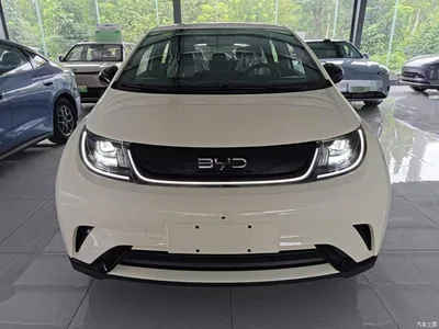 2025 BYD Dolphin 420km Freedom Edition, фото 3, лот 10263931