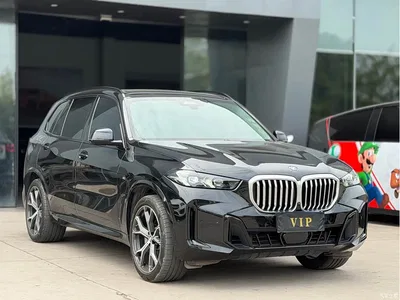 2023 BMW X5 xDrive 30Li Premium M Sport Black Night Package, фото 3, лот 11007659