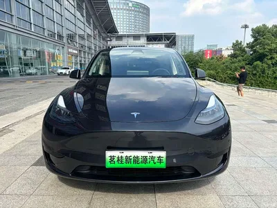 2024 Tesla Model Y Rear-Wheel Drive Version, фото 2, лот 10693704