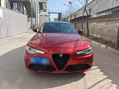 2017 Alfa Romeo Giulia 2.0T 280HP Luxury Edition, фото 4, лот 10240271