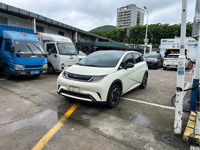 2021 BYD Dolphin Model 405km Fashion Edition, фото 1, лот 10255483