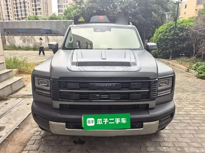2025 Haval Meng Long NEV Model Base Version, фото 3, лот 10954996