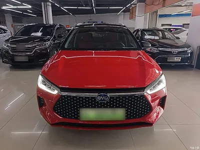 2019 BYD e2 Long Range Edition Create·Premium, фото 3, лот 10259769