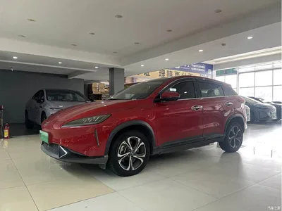 2020 XPeng G3 520i Joy Edition, фото 2, лот 10453496