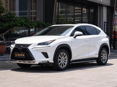 2020 Lexus NX 300h FWD Zhi·Hybrid Special Limited Edition, фото 1, лот 10312086