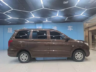 2021 Wuling Motors Wuling Hongguang 1.5L Facelift S Comfort Electric Power Steering LAR, фото 2, лот 10453284