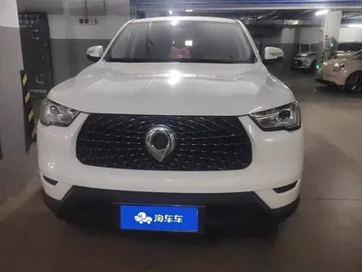 2021 Great Wall Pao 2.0T Commercial Edition Manual Diesel 2WD Elite Long Box GW4D20M, фото 2, лот 10245857