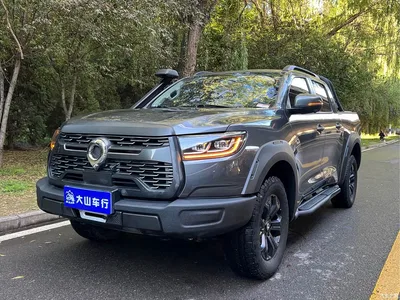 2023 Great Wall Pao 2.0T Off-Road Edition Automatic Gasoline 4WD Everest Edition, фото 1, лот 10246182