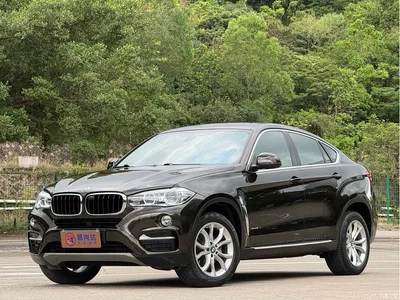 2015 BMW X6 xDrive35i Leading Type, фото 4, лот 10579084