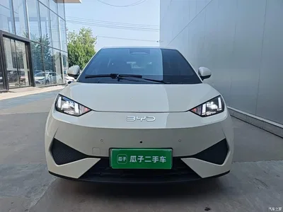 2025 BYD Seagull Smart Drive Edition 305km Freedom Version, фото 3, лот 10262856