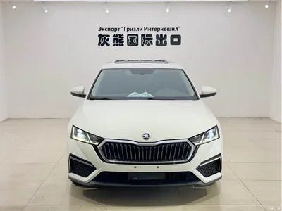 2022 Škoda Octavia PRO TSI280 Luxury Edition, фото 2, лот 10348765