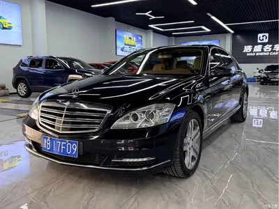 2010 Mercedes-Benz S-Class S 600 L, фото 1, лот 10268806