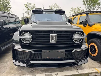 2021 Tank 300 Urban Edition 2.0T Stylish, фото 3, лот 10826200