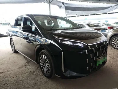 2025 BYD M9 Model 1060 Pilot Edition, фото 2, лот 11549736