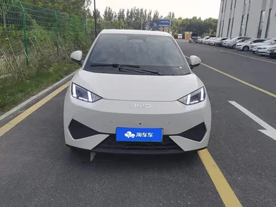 2025 BYD Seagull Smart Driving Edition 405km Flying Edition, фото 2, лот 10625702