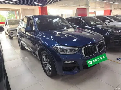 2018 BMW X3 xDrive25i M Sport Package China V, фото 4, лот 10461865