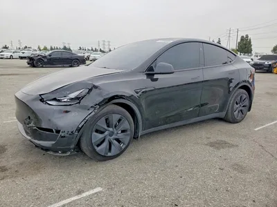 2024 TESLA MODEL Y, фото 1, лот 10803486