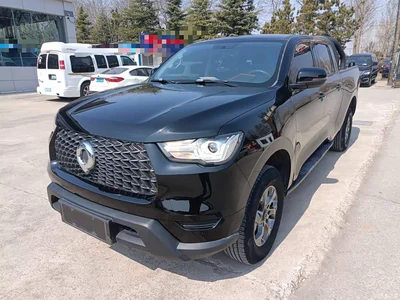 2021 Great Wall Pao 2.0T Commercial Edition Manual Diesel 2WD Elite Long Box GW4D20M, фото 2, лот 10248929