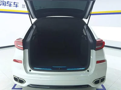 2020 Honda Avancier 370TURBO 4WD Premium Edition, фото 4, лот 10411607