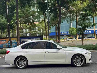 2019 BMW 3 Series 320Li Fashion Type, фото 4, лот 11536249