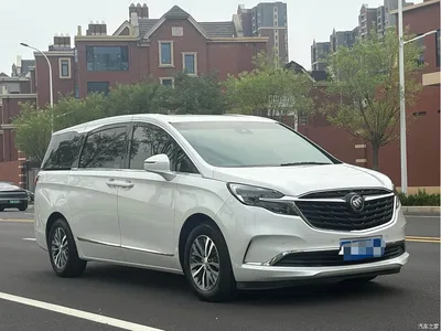 2020 Buick GL8 Model ES Landglory 653T Premium, фото 3, лот 11397431