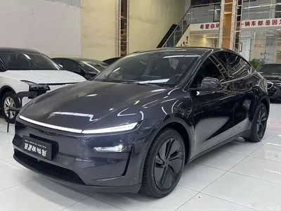 2025 Tesla Model Y Rear-Wheel Drive, фото 1, лот 11496965