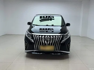 2021 GAC Trumpchi Trumpchi M8 Leading Show Series 390T Premium Edition, фото 3, лот 10421841