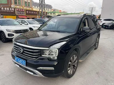 2017 GAC Trumpchi Trumpchi GS8 320T 2WD Luxury Smart Connect (7-seater), фото 1, лот 10416239