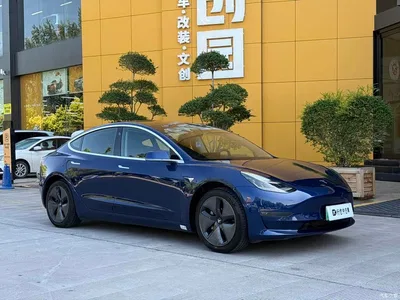 2019 Tesla Model 3 Standard Range Rear-Wheel Drive Upgrade, фото 3, лот 11584585