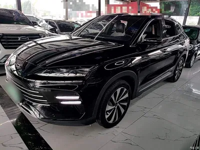 2023 BYD Song PLUS PHEV Champion Edition DM-i 150KM Flagship PLUS, фото 1, лот 11182910