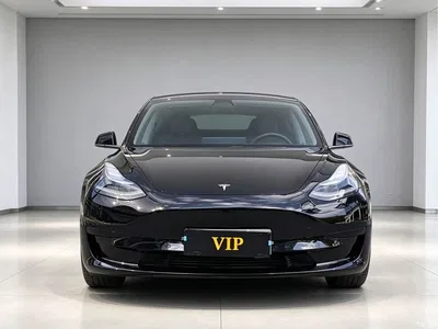 2021 Tesla Model 3 Standard Range Rear-Wheel Drive Upgrade, фото 2, лот 11206311