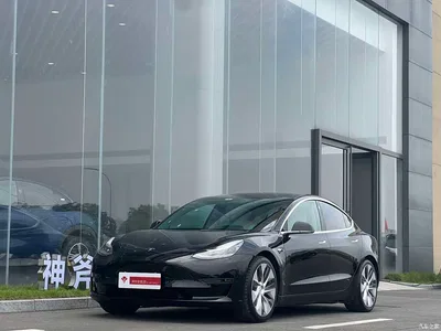 2019 Tesla Model 3 (Import) Long Range All-Wheel Drive Edition, фото 1, лот 10353528