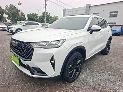 2021 Haval H6 3rd Generation 2.0T Auto 2WD Max, фото 1, лот 11002914