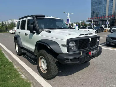 2023 Tank 300 2.0T Iron Cavalry 02, фото 3, лот 10629880