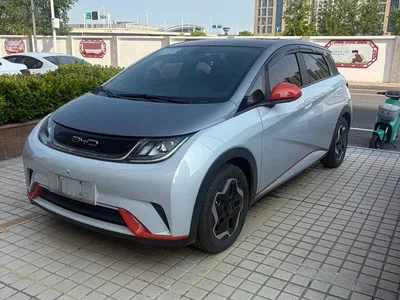 2021 BYD Dolphin Model 405km Fashion Edition, фото 1, лот 10257297