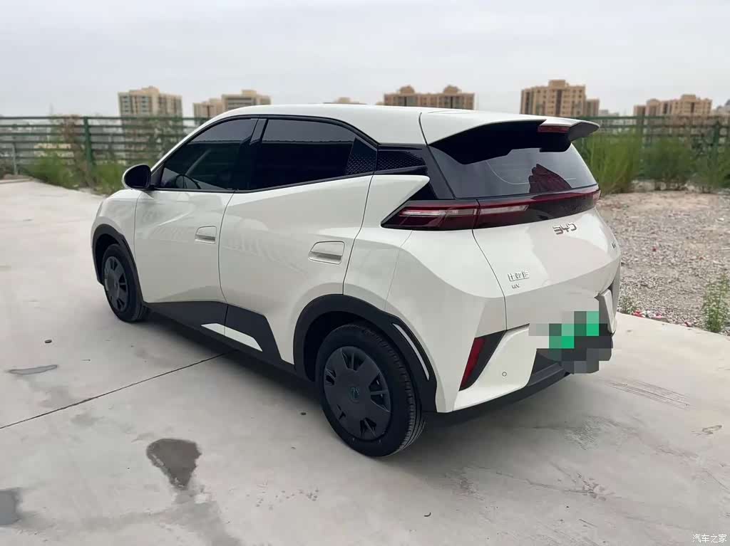 2024 BYD Seagull Glory Edition 305km Vitality Edition, фото 4, лот 11220849