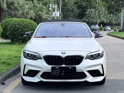 2019 BMW 2 Series (Import) 225i Convertible Coupe Sport Design Package, фото 2, лот 10412819