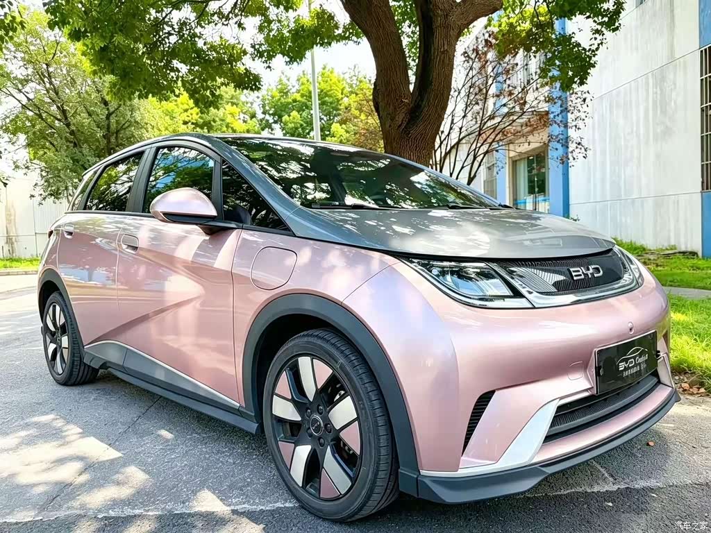 2021 BYD Dolphin 401km Knight Edition, фото 4, лот 11210973
