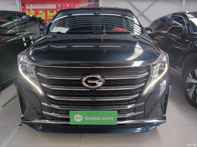 2021 GAC Trumpchi Trumpchi M8 Leading Show Series 390T Premium Edition, фото 3, лот 10423947