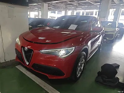 2017 Alfa Romeo Stelvio 2.0T 200HP Elite, фото 1, лот 10240274