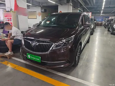 2017 Buick GL8 ES 28T Flagship China V, фото 1, лот 10259289